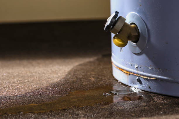 Best Water damage repair service  in Licking, MO