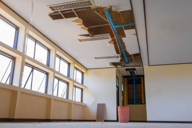 Best Water damage restoration near me  in Licking, MO