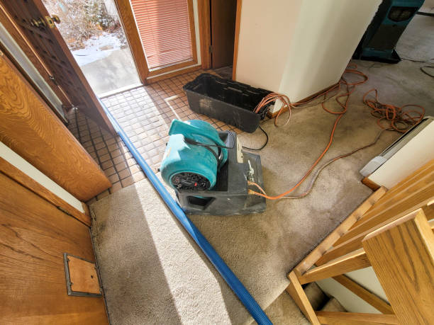 Water damage restoration experts in MO