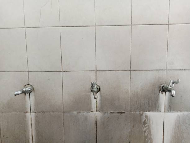 Best Water damage restoration cost  in Licking, MO